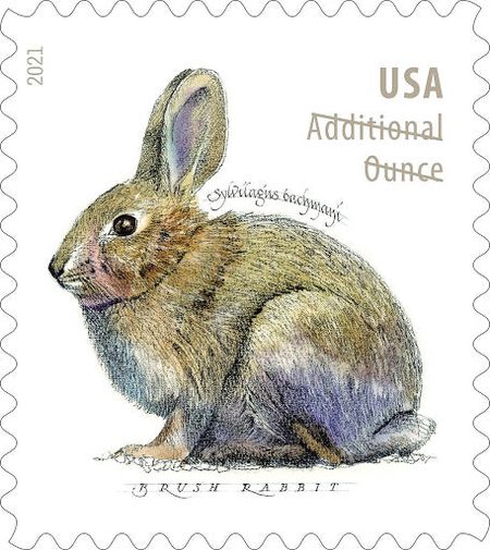 100 Bunny Stamps 24¢ Rabbit Stamps Spring Bunny Rabbit Postage Stamps For Mailing